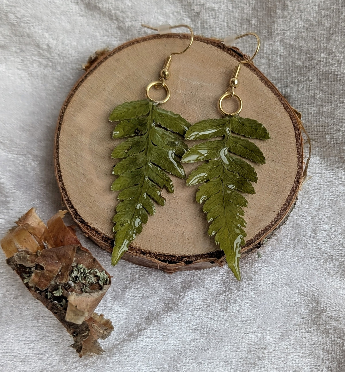 Ferns