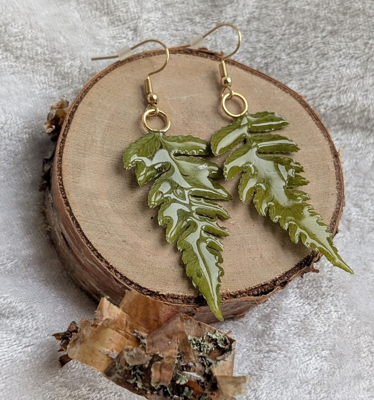 Ferns
