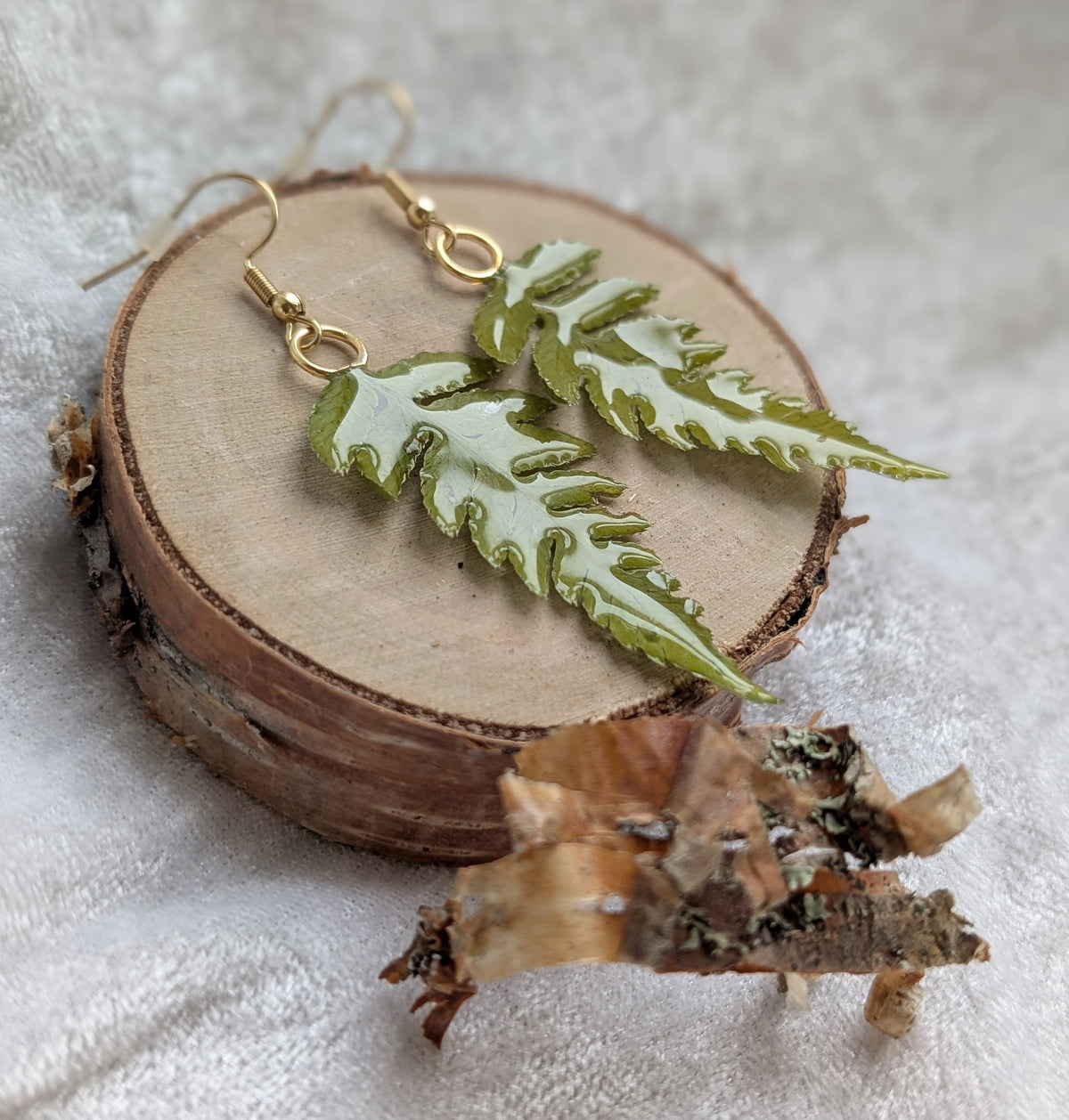Ferns