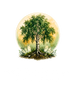 Northborn Gems – Startsida